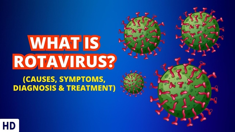 Inside the Tummy Troubles: Diving Deep into the World of Rotavirus