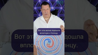 Научные факты, которые вы не знали