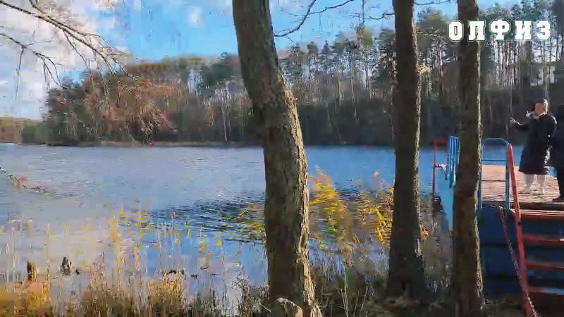 Видео от OLPHYS