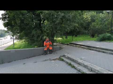 Осел друг Деда