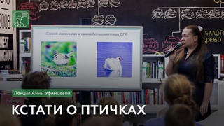 Кстати о птичках | Лекция Анны Уфимцевой