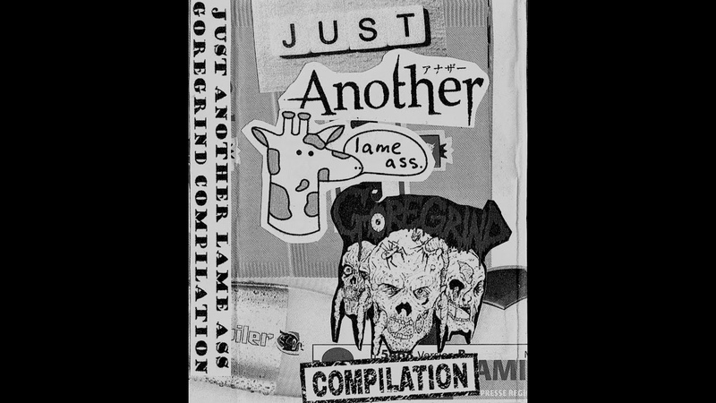 VA, Just another lame ass GOREGRIND compilation ( Home made