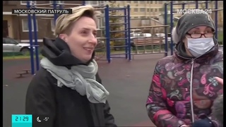 М24 о воровстве туй в Татьянином Парке,
