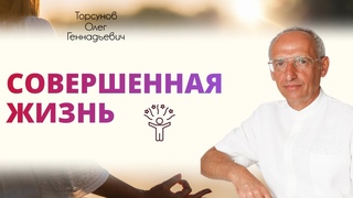 Совершенная жизнь. Торсунов Олег Геннадьевич