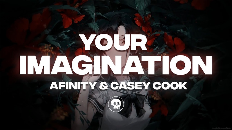 Afinity Casey Cook Your