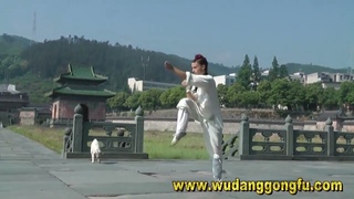 Dark Fist First Road (yilu)  (with bonus temple goats)