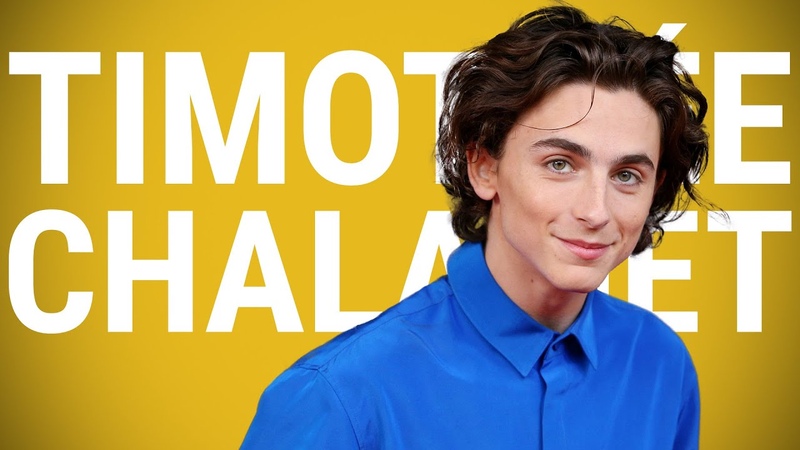 The Rise of Timothée