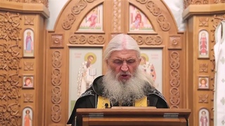В России готовиться воцариться  антихрист,двойник Путина.Схиигумен Сергий.