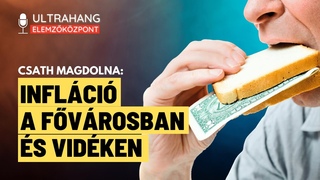 A válság és a társadalom szétszakítása - Csath Magdolna