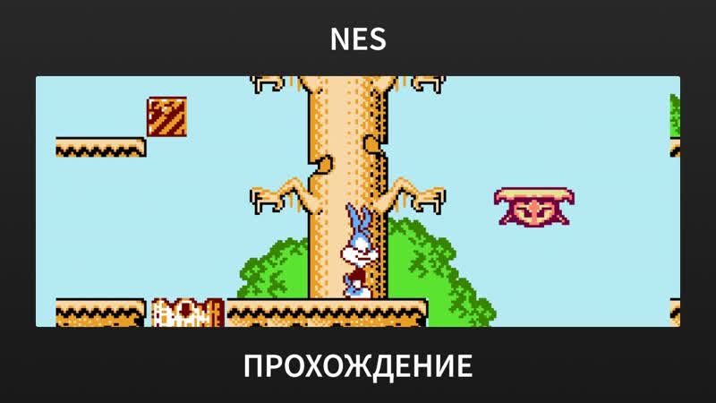 NES Tiny Toon Adventures 6 ( Bootleg)