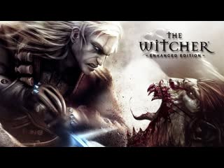 The Witcher Enhanced Edition - Director's Cut  Прохождение 6 Серия Глава 22 Без комментариев