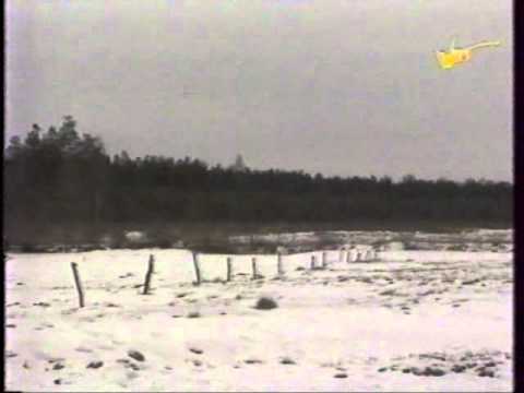 Геноцид белорусов Белосточчины польскими шовинистами (1946