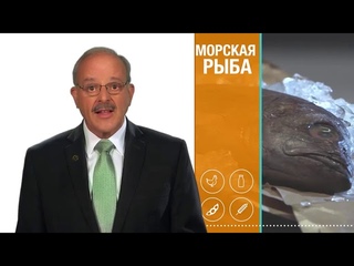 Белок. Дэвид Хибер
