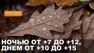 ПОГОДА НА ЗАВТРА / МОГИЛЕВ И ОБЛАСТЬ