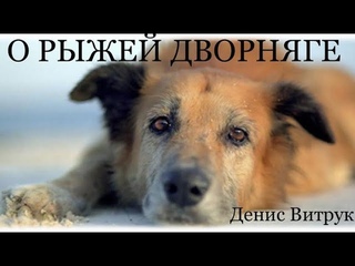 ДО БОЛИ... ДО СЛЁЗ... СТИХИ О РЫЖЕЙ ДВОРНЯГЕ Э. Асадов Читает Денис Витрук