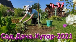 Сад.Жарко...+32. Копаю клумбу под цветы: рудбекию,эхинацею,камнеломку,пиретрум,незабудку,монарду.