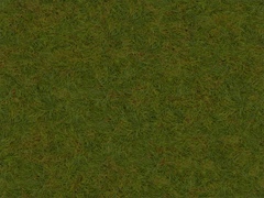 VSZD_nasip_grass (autumn ver.2)