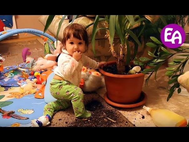 Детские шалости Алисы. Смешные дети. Bad Baby, , В гостях у Алисы