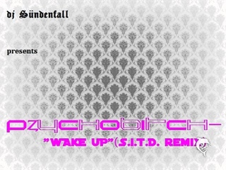 dj SNDENFALL - PZYCHOBITCH - Wake up (. remix) 2002