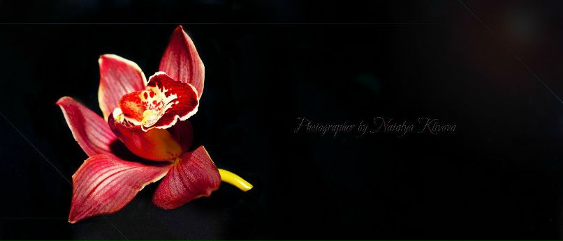 Наталья Чернилевская | Нижний Новгород