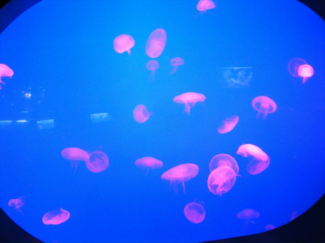 Анна Мельникова | Петропавловск-Камчатский