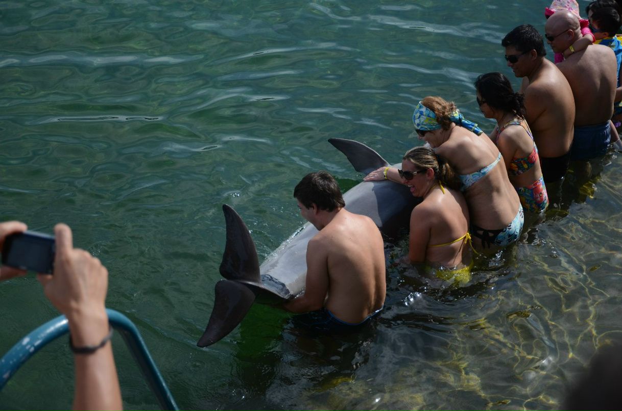 Сергей Желнинский Александрович | Воронеж