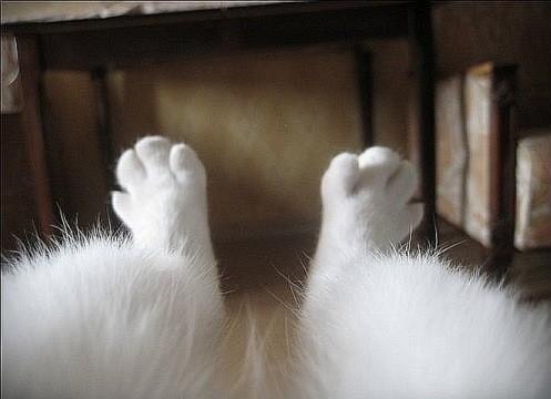 Аня Лисичкина | Москва