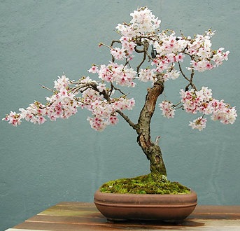 №68, Жанна Горошко, Пинск №68, Жанна Горошко, Пинск