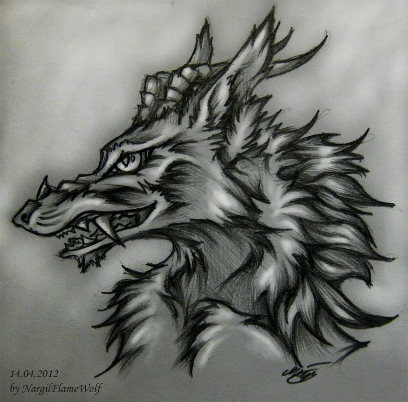 Наргиль Драугнор | Москва