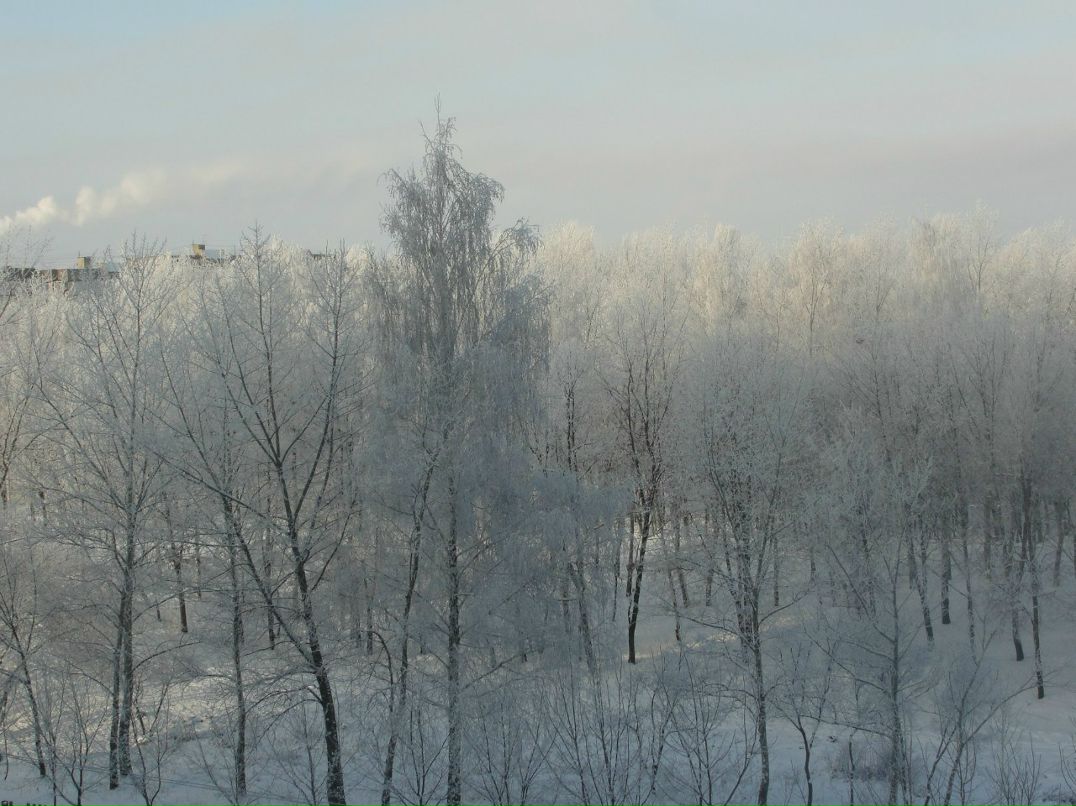 Илья Клеймёнов | Липецк