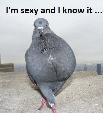 Ирэн Бородина | Красноярск