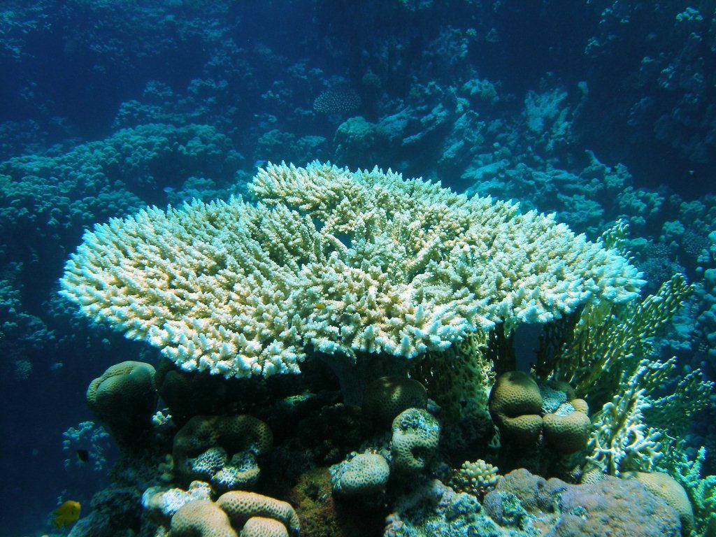 Леонид Сандалов | Санкт-Петербург