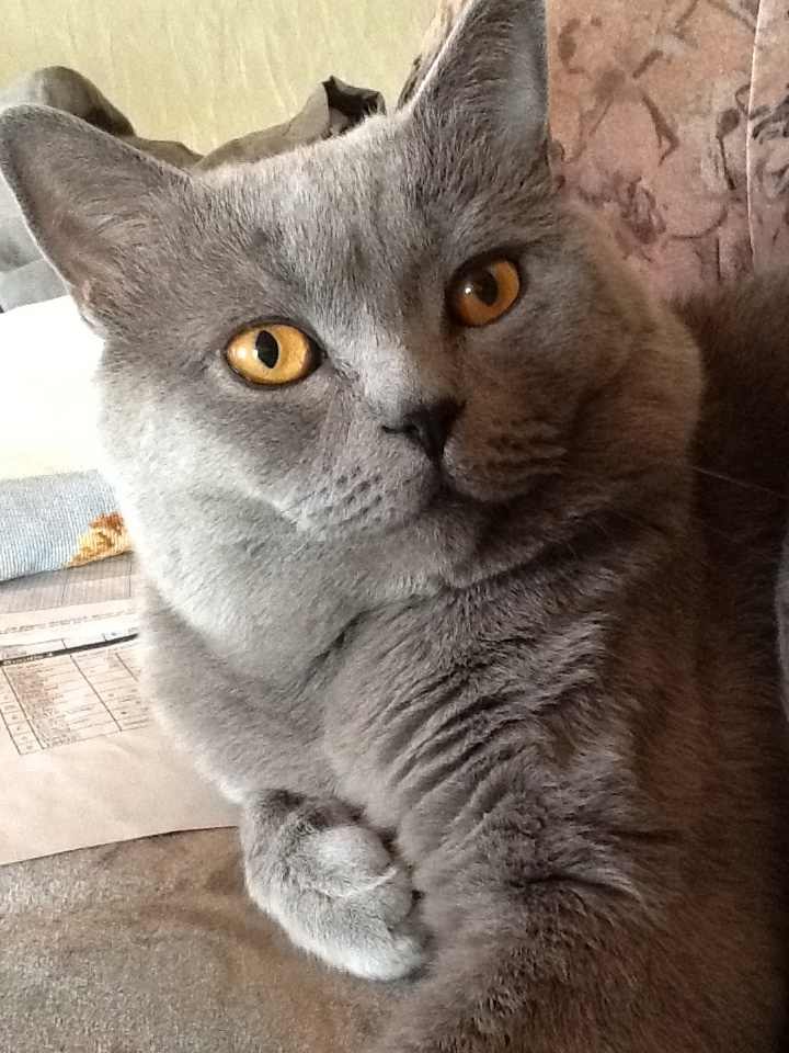 Катюша Букарина | Санкт-Петербург