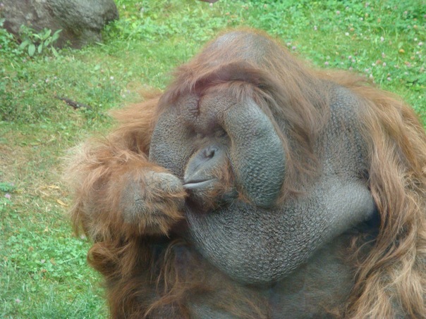 №26, Маша Филимонова, Новомосковск №26, Маша Филимонова, Новомосковск