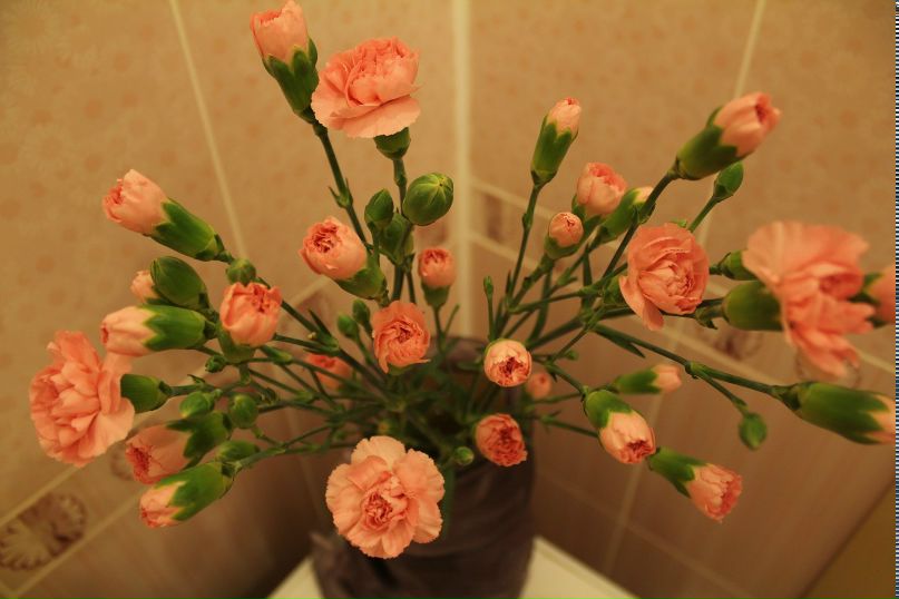 Миляуша Сурыгина | Казань