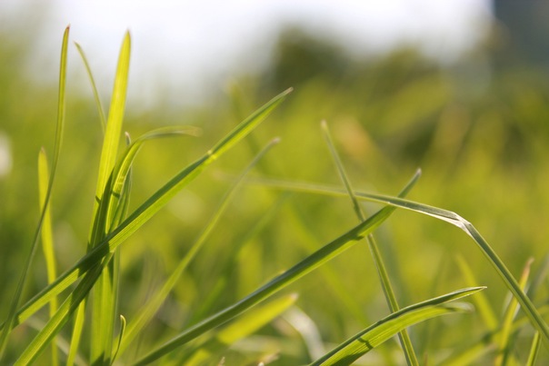 №192, Мария Храмова, Нижний Новгород №192, Мария Храмова, Нижний Новгород