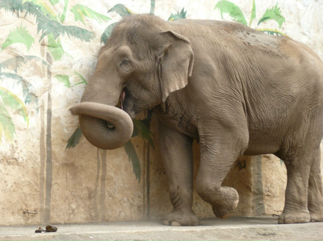 Лариса Федорова | New York City