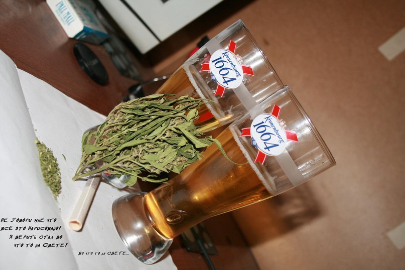 Руслан Бегенчов | Зеленоград