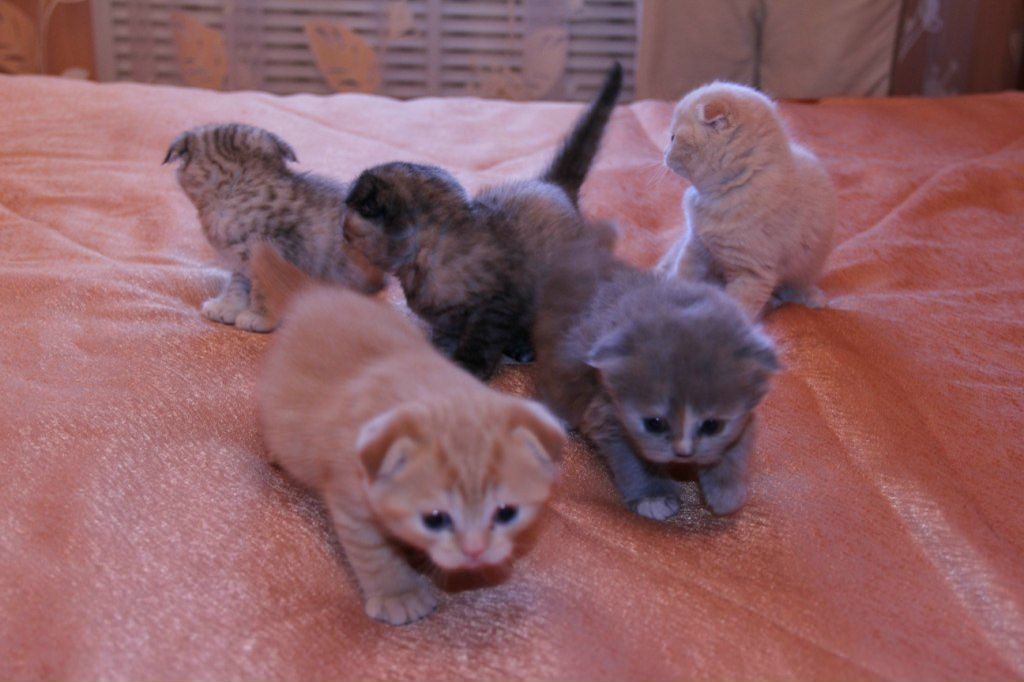 Женя Литвинов | Сургут