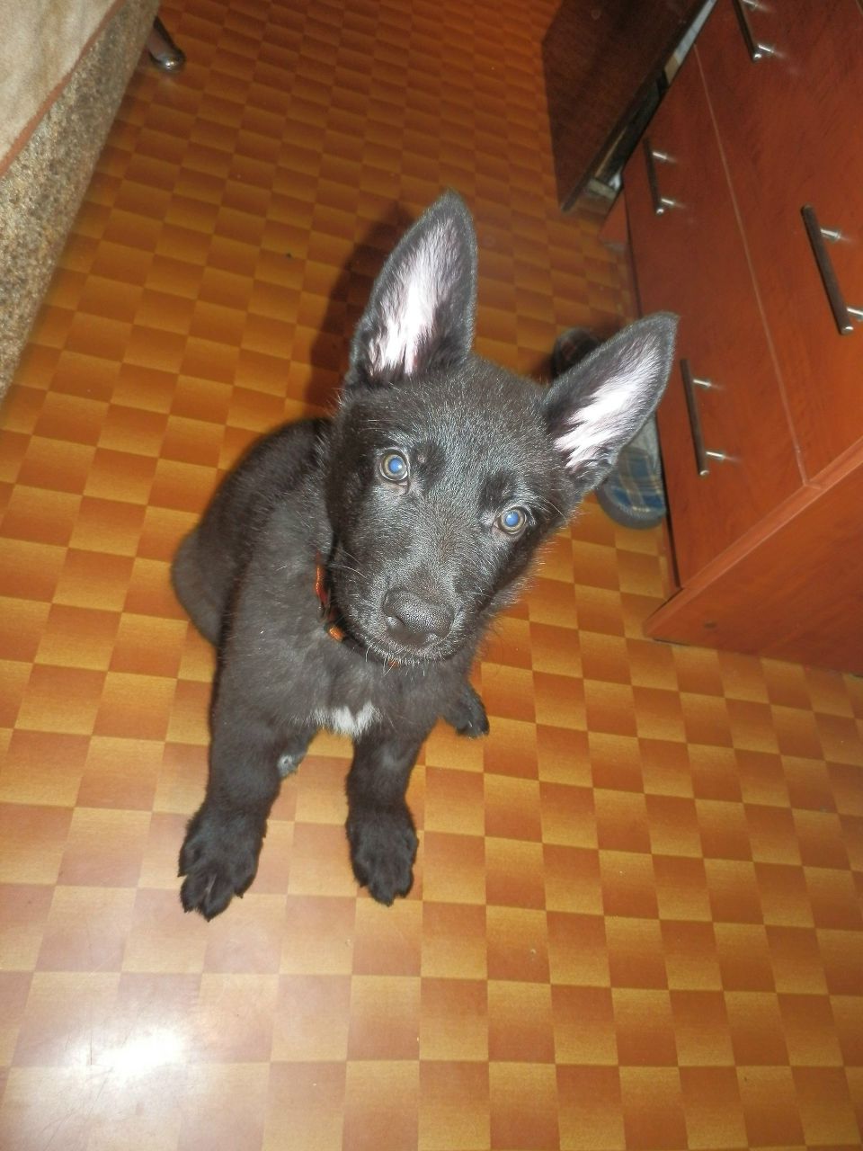 Оксана Дмитриева | Санкт-Петербург