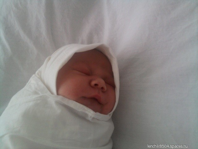 Вячеслав Соколов Рудольфович | 