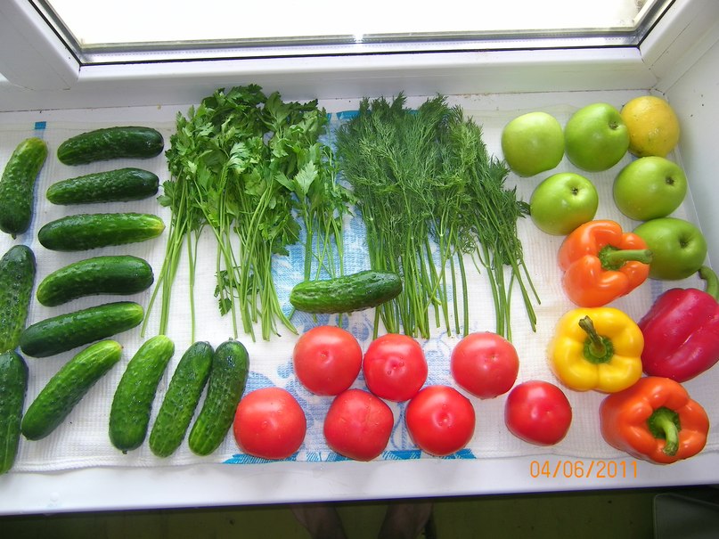 Лия Тимофеева | Караидель