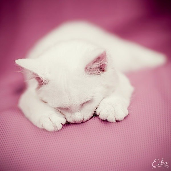 Людмила Стенищева Сергеевна | Москва