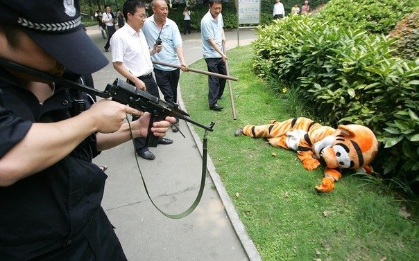 Адьян Михлеев | Санкт-Петербург