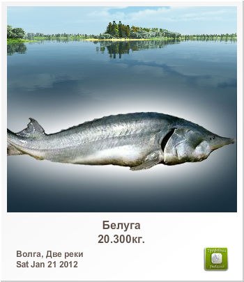 Владимир Куличенко | Арциз