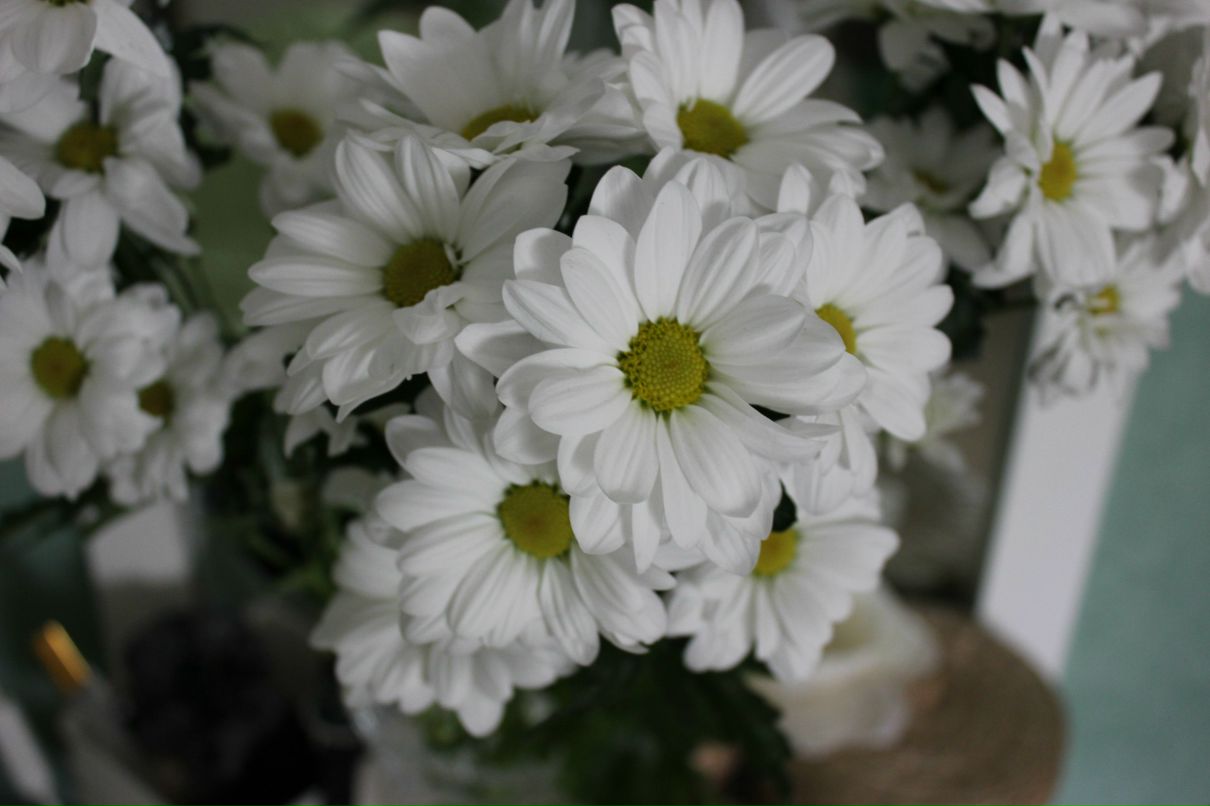 Инесса Андреевна | Краснодар