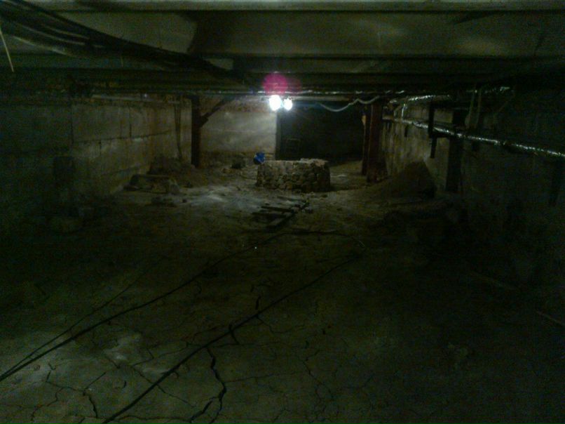 Дмитрий Шагаров ♪ ♫ Foxz-z ♫ ♪♫ | Таганрог