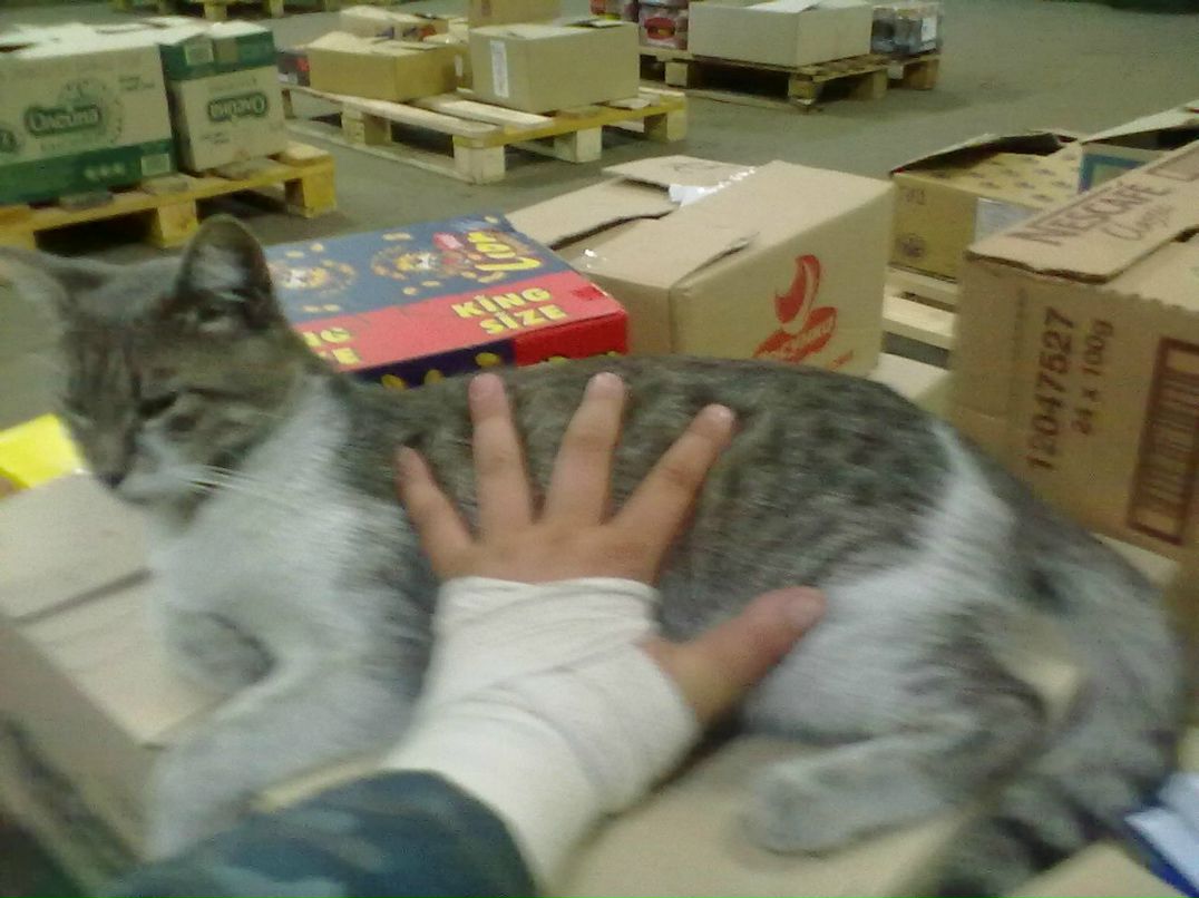 Наталия Хомутова | Луганск