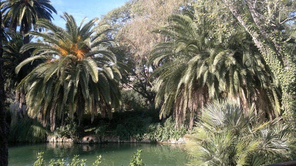 №185, Твоя Энн, 36 лет, Москва, Россия №185, Твоя Энн, 36 лет, Москва, Россия