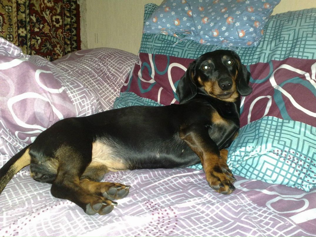 Натин Семлева | Москва